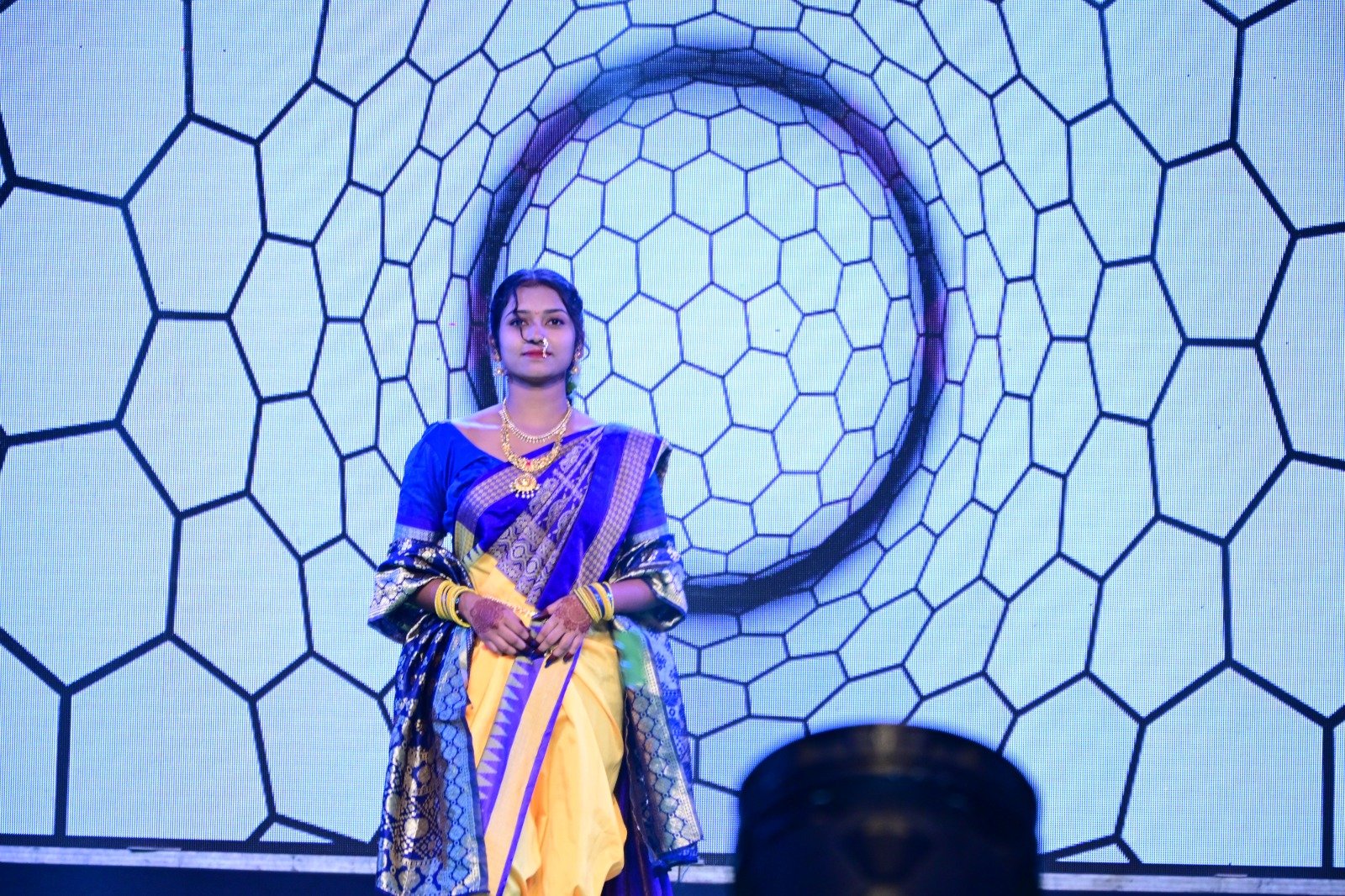 Annual Function Image 6